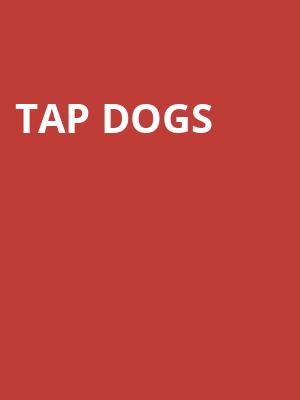 Tap Dogs at Peacock Theatre